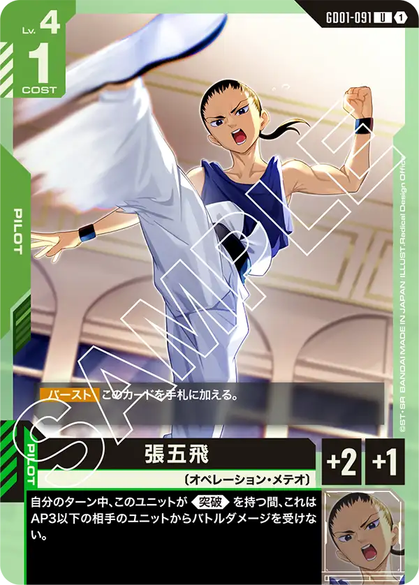 張五飛.jpg